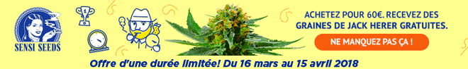 Reduction 20% SensiSeeds