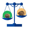 tableau comparatif graines cannabis