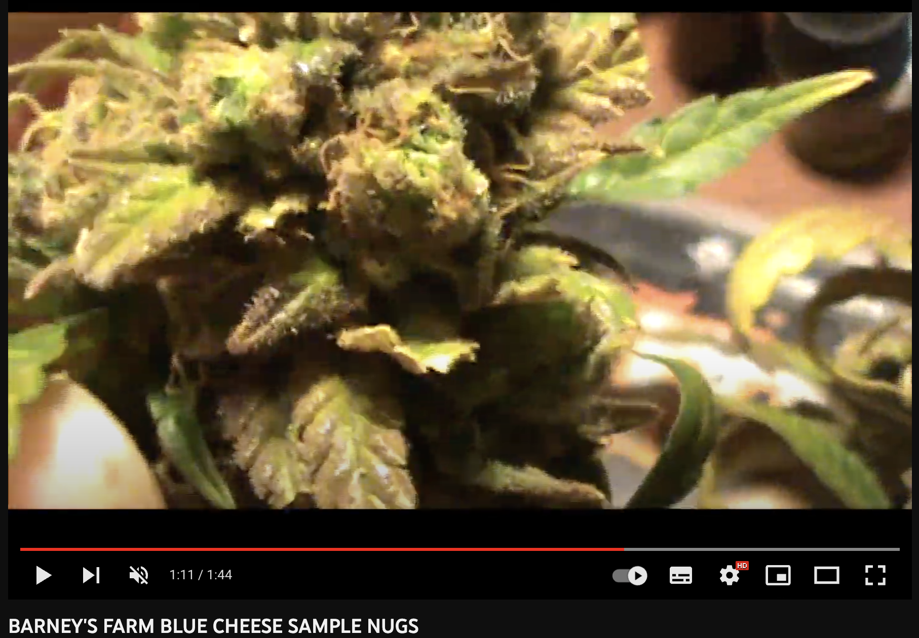 the big buddha blue cheese