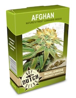 afghan-cannabis-seeds