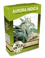 aurora-indica-seeds