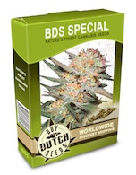 bds-special-cannabis-seeds
