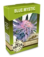 blue-mystic-cannabis-seeds