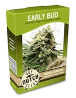 early-bud-cannabis-seeds