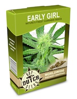 early-girl-cannabis-seeds