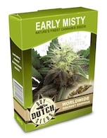 early-misty-cannabis-seeds