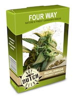 four-way-cannabis-seeds