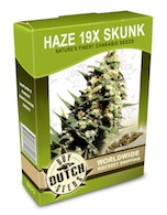 haze19-skunk-cannabis-seeds
