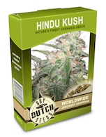 hindu-kush-cannabis-seeds