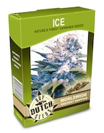 ice-cannabis-seeds