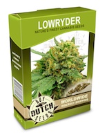 lowrider-cannabis-seeds