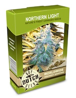 northern-lights-cannabis-seeds