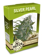 silver-pearl-cannabis-seeds