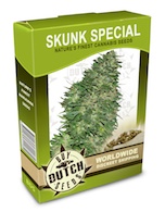 skunk-special-cannabis-seeds