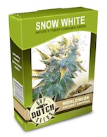 snow-white-cannabis-seeds