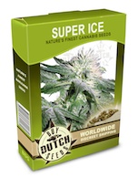 super-ice-cannabis-seeds