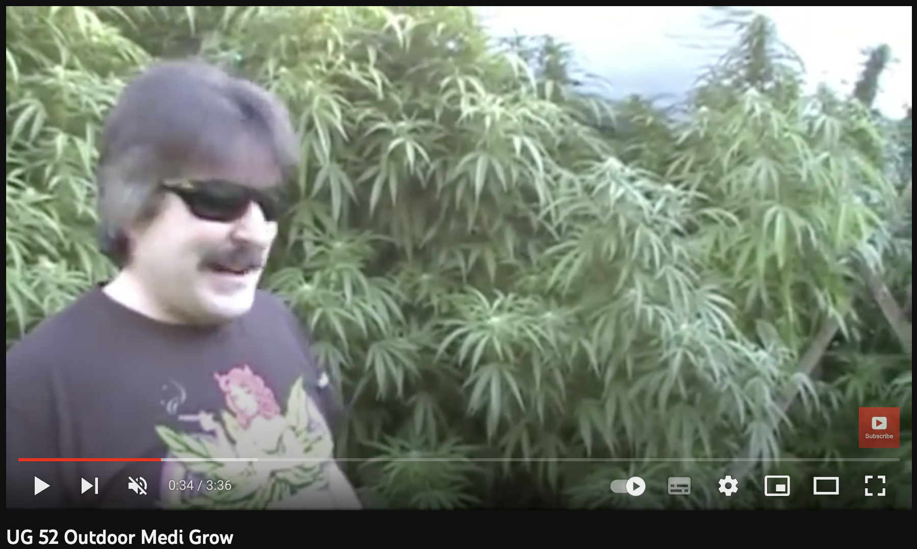 video cannabis xxx