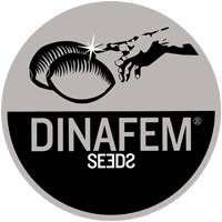 Dinafem seeds