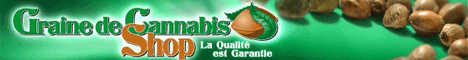 graine-cannabis-shop-com