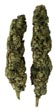haut-rendement-cannabis