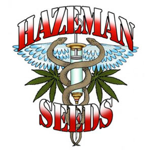 HazeMan Seeds