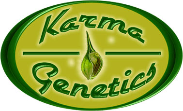 Karma Genetics