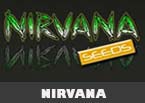 nirvana