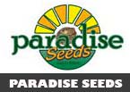 paradise seeds