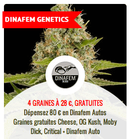 promo sur les graines Dinafem