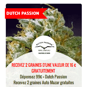 promo sur les graines Dutch Passion