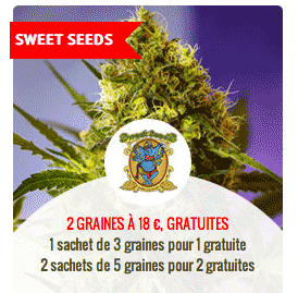 promo sur les graines sweet seeds