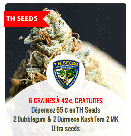 promo sur les graines TH seeds