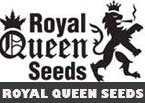 royal queen seeds