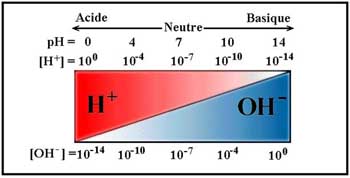 schema-ph