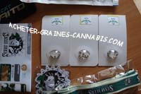 weed-seed-shop-meme-societe-que-sensi-seeds